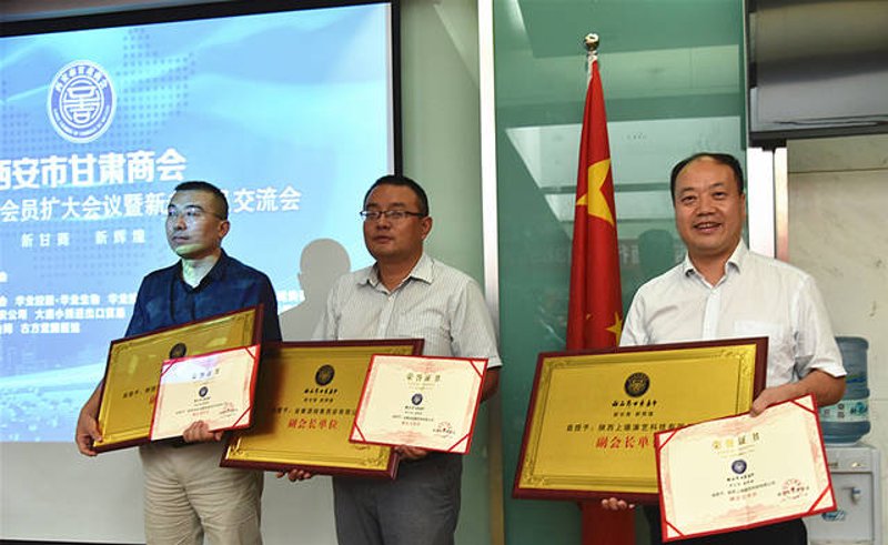 湖北与甘肃的企业发展之路